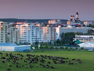 Suceava