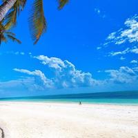 Indigo Beach Zanzibar